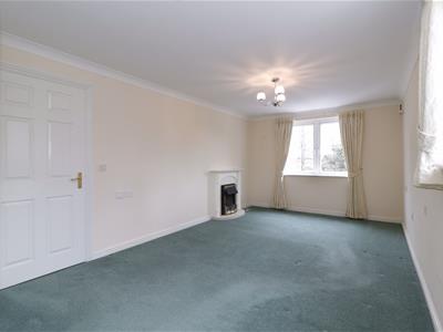 Picture 5